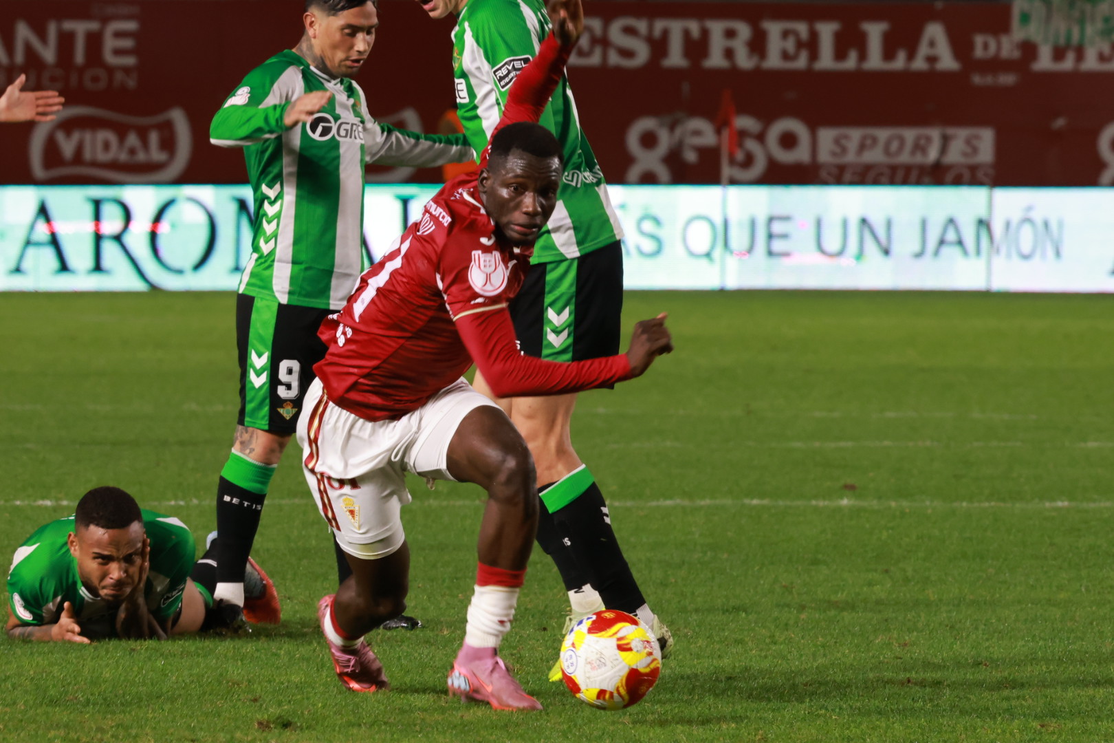 20251218223909 IMGL2673